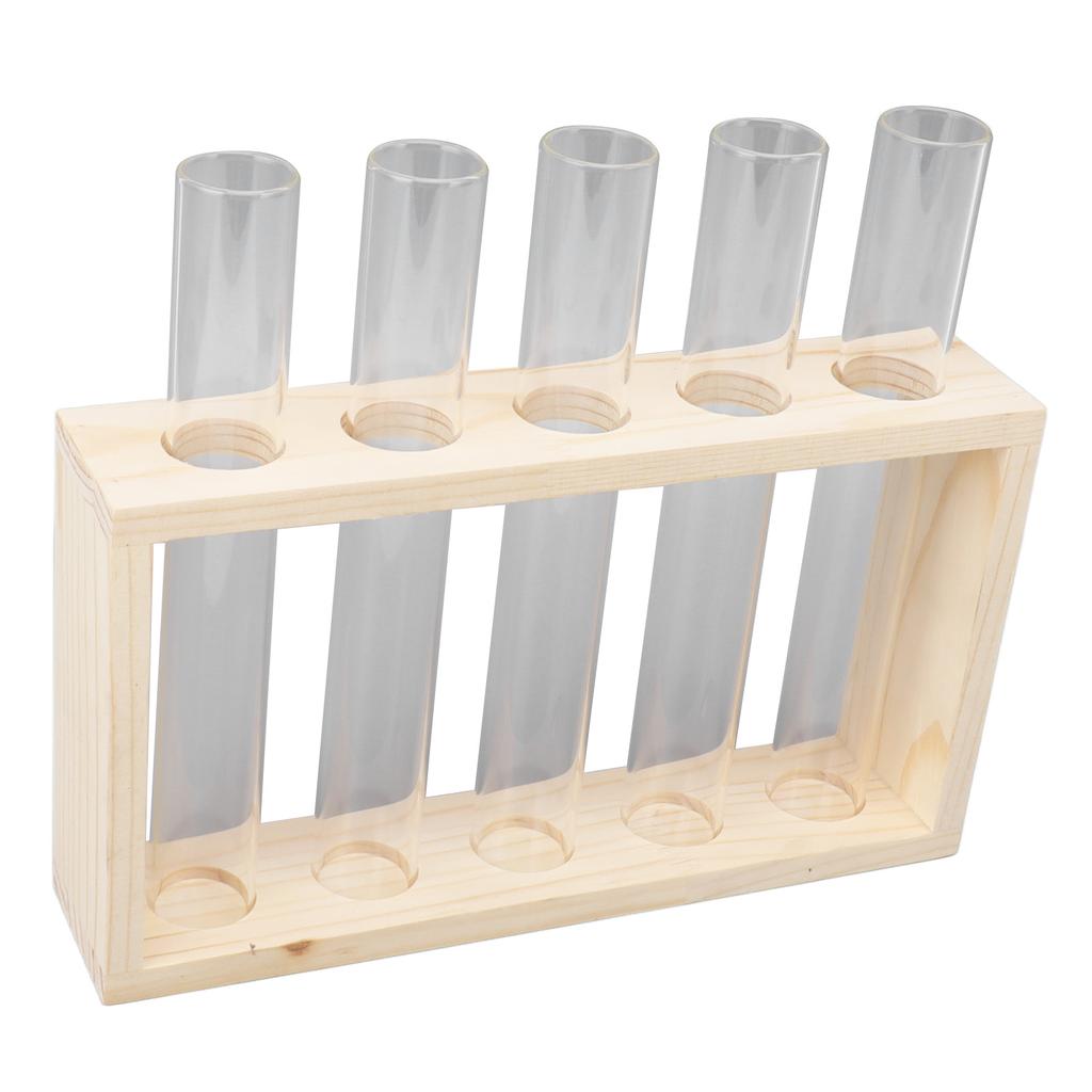 5 Test Tube Plant Terrarium Transparent Observe Growth Status Water Plant Holder with Wooden Stand for Herbs