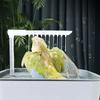 USB Power Electric Parrots Bath Tub Shower Basin with Easy Control Water Flows for Small To Large Bird Daily Shower Use