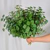4pcs Simulation 7-forks Eucalyptus Money Leaf Bouquet Restaurant Decoration Artificial Sweet Potato Leaves Green Plants Flower