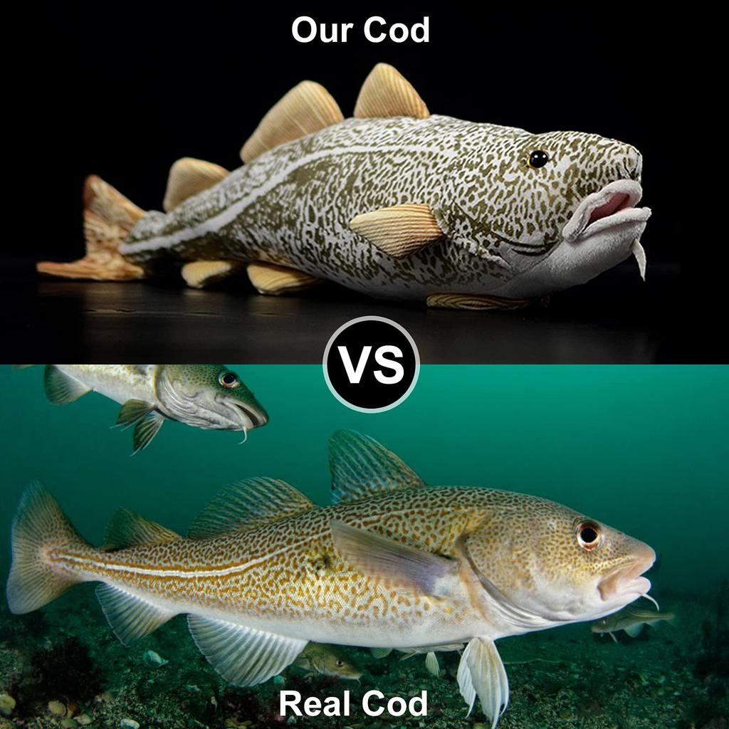 ZHONGXIN MADE Realistic Pacific Tara Plush Toy, Deep Sea Animal, Super Soft Plush Toy for Kids, Plush Model, Educational Toy, Birthday Gift for Kids