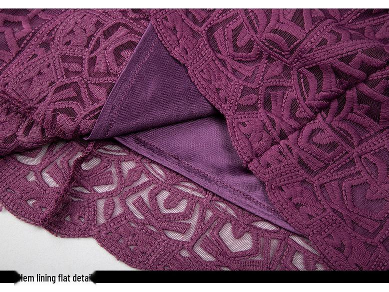 Versatile Plus Size Lace Embroidery Dress for Spring & Autumn