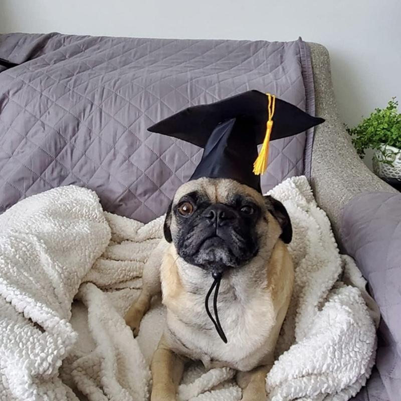 Yellow Tassels Dog Graduation Cap and BowTie Set for Pet Ceremonies Comfortable Polyester Party Accessory