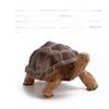 Figurine Statique Modèle Tortue Terrestre en PVC pour Enfants avec Design Réaliste pour Collectionneurs et Enfants