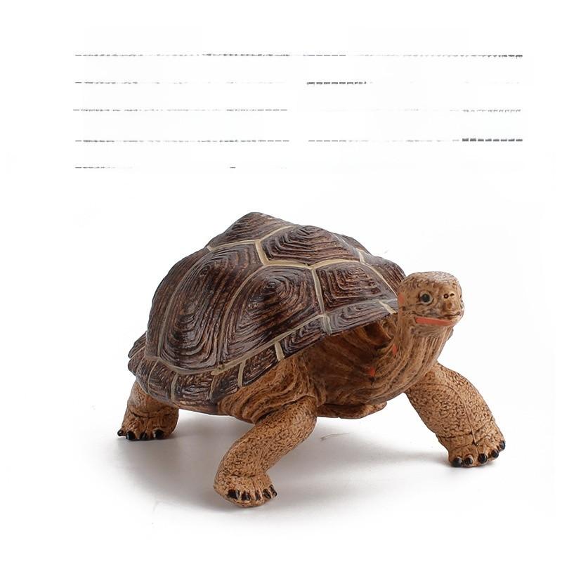 Figurine Statique Modèle Tortue Terrestre en PVC pour Enfants avec Design Réaliste pour Collectionneurs et Enfants