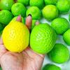 Měnící barvu DIY Prázdná Kulička Kůže Měkká TPR DIY Kulička na Mačkání Kit Citronová Kulička Kůže Dospělí Začátečníci