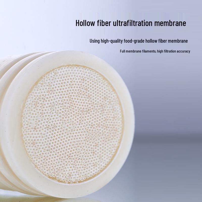 Stainless Steel Whole House Water Filter for Direct Drinking