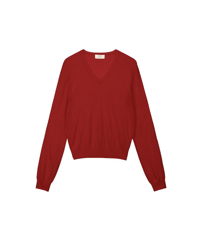 RENEJ Simple V-Neck Knit