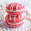 1/3pcs Round Reusable Icing Piping Nozzles Pastry Bag Scraper Flower Cream Tips Converter Baking Cup Diy Cake Decorating Tools