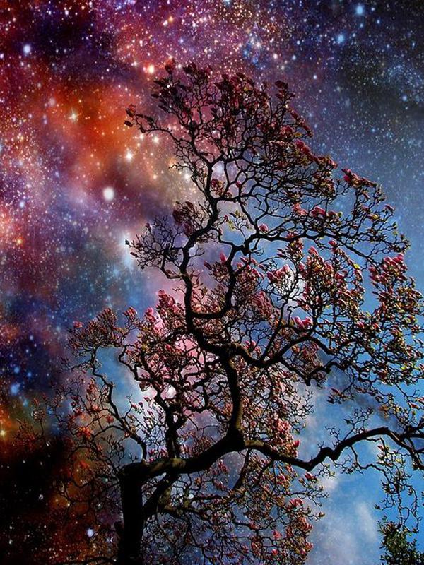 

Алмазное искусство Пейзаж 5D Алмазная картина Наборы для вышивки крестом Алмазная картина 15*20cm