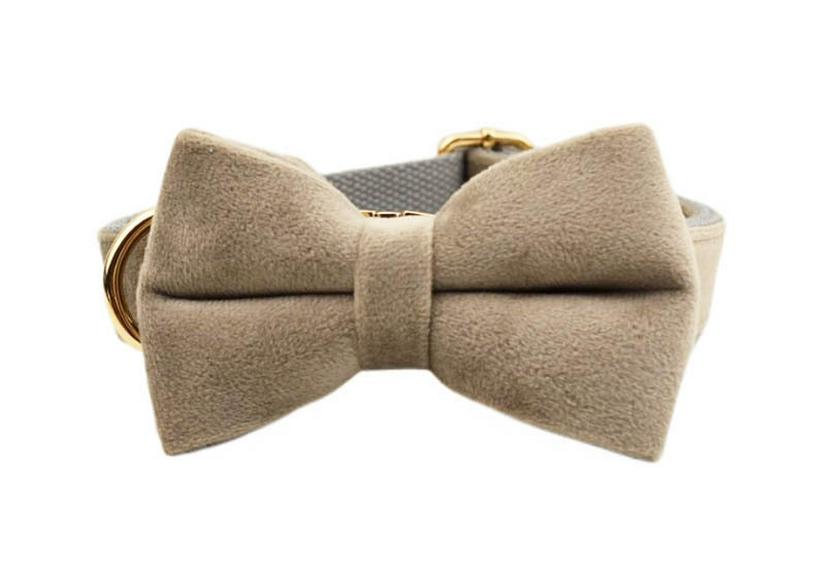 Adjustable Gray Velvet Dog Collar and Leash with Engraving Option