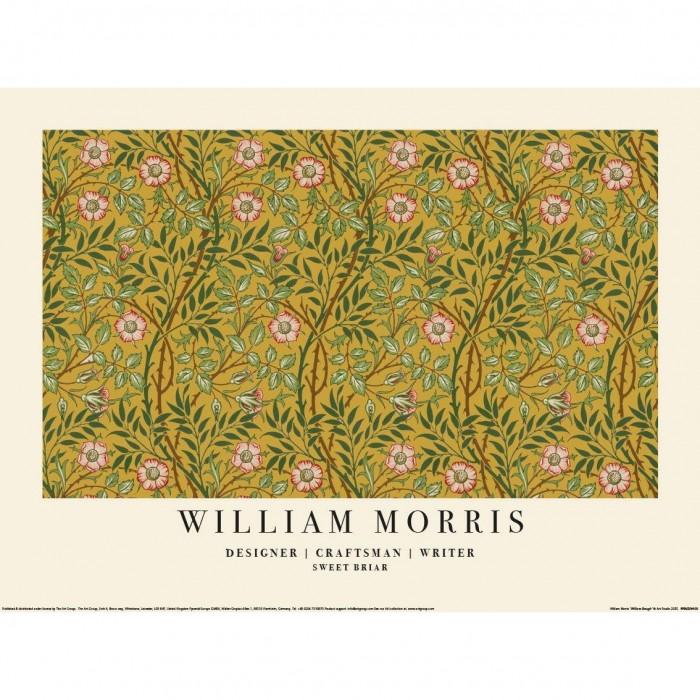 William Morris Sweet Briar Paper Poster