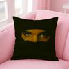 Hot Cool Singer DDrake Cushion Cover Pillowcase Short Plush Invisible zipper Room Sofa Cushion Cover