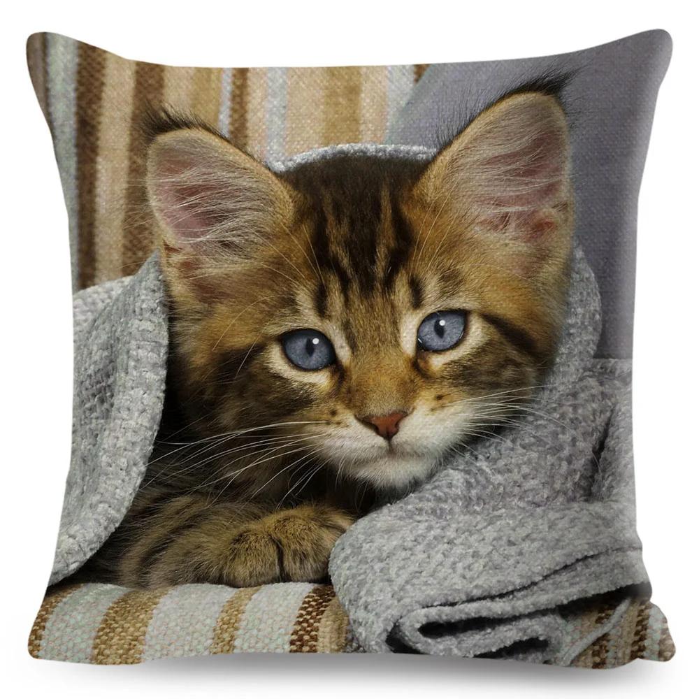 Funny Cute Cat Cushion Cover Decor Lovely Pet Animal Print Pillowcase Polyester Throw Pillow Case for Sofa Home Car 45x45cm
