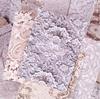 32pcs/1 lot Material Paper Lace Series Retro Literary Lace Hand Account DIY Decor Base