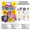 Natural Dried Flowers Pack For Diy Resin Pressed Flower Art