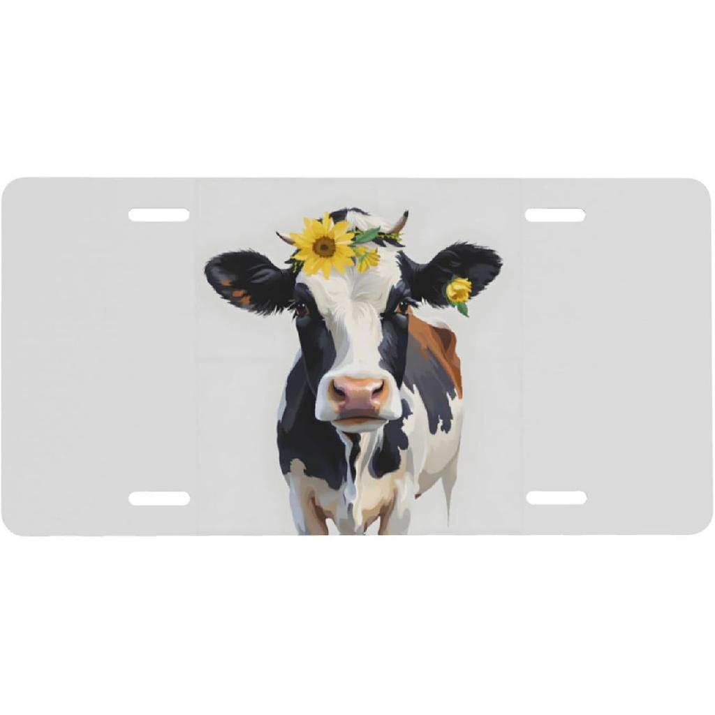 Evil Smile Monster Face Front License Plate for Women Car Vanity Plates Decorative Aluminum Metal Cute Novelty License Plate Cover for Men 6x12 Inch