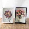 7-Inch 3D Glass Specimen Frame for DIY Dried Flowers, Insect Models, and Photos