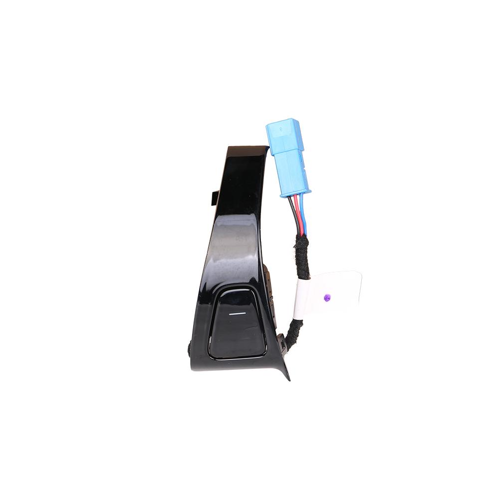 Apriporta posteriore sinistro 1094958-01-C per Tesla Model 3