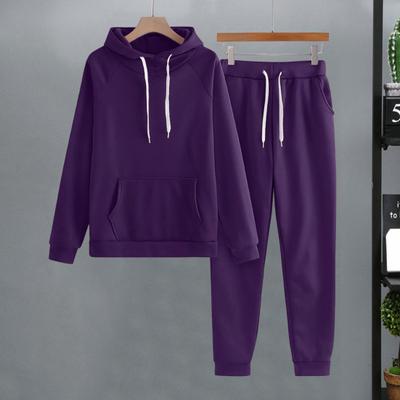 Yousheng 2 Pcs/Set Women Hoodie Pants Suit Solid Color Plush Long Sleeves Thick Top Elastic Waist Ankle-banded Trousers Sport Fitness Outfit Fall