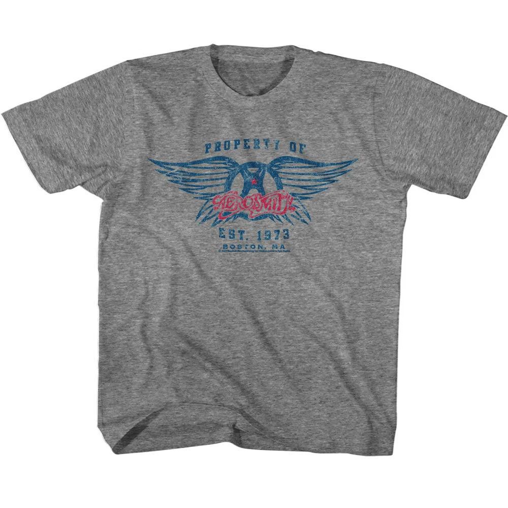 Aerosmith Property Of Est 1973 Boston MA Youth T Shirt Rock Band Music Merch S