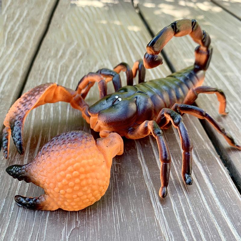 Large sized insect animal simulation model, spider, locust, scorpion, ant, unicorn fairy, children's educational cognitive ornam