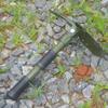 Brangdy Multi-functional Folding Military Shovel