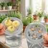 20PCS Plastic Hydroponic Seedling Pots 3 Holes Hydroponic Basket Grow Pots  Aerated Root Growth