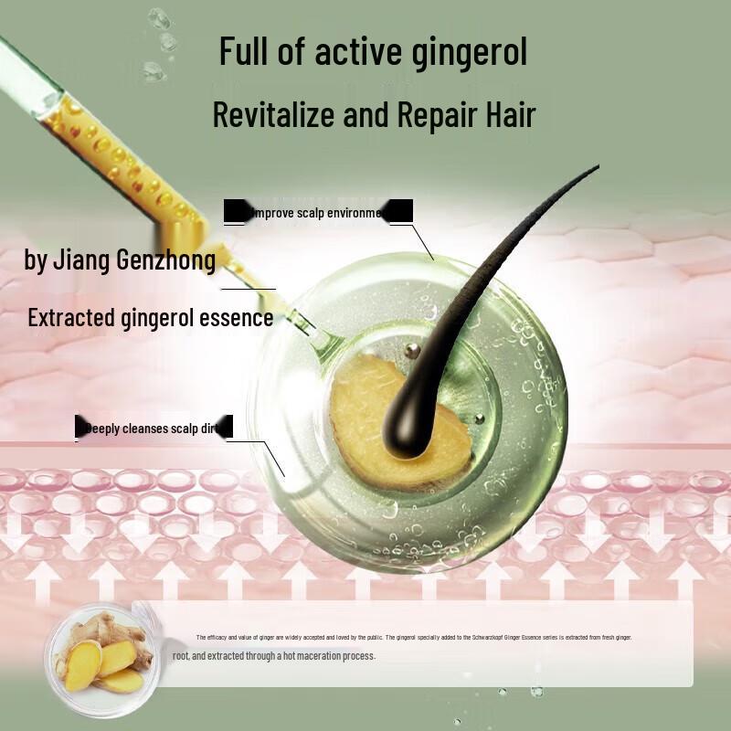 Schwarzkopf Ginger Essence Oil Control Shampoo