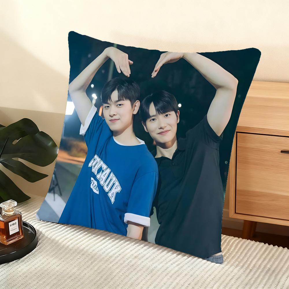 Cushion Cover Silky Short Plush Home Sofa Cushion Cover - Invisible Zipper Home Decoration A Breeze Of Love