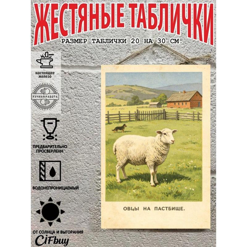 Metal Wall Poster 20x30cm