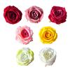 Artificial Rose Flower Heads 2.3" Fake Silk Rose Heads for Wedding Centerpieces Bridal Bouquets DIY Floral Crafts