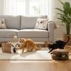 Kedi – Kedi Oyuncakları