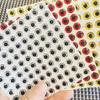 300 Grains 3mm-9mm Fish Lure Eyes 3D Fishing Bait Eyes 2025 3D Holographic Eye