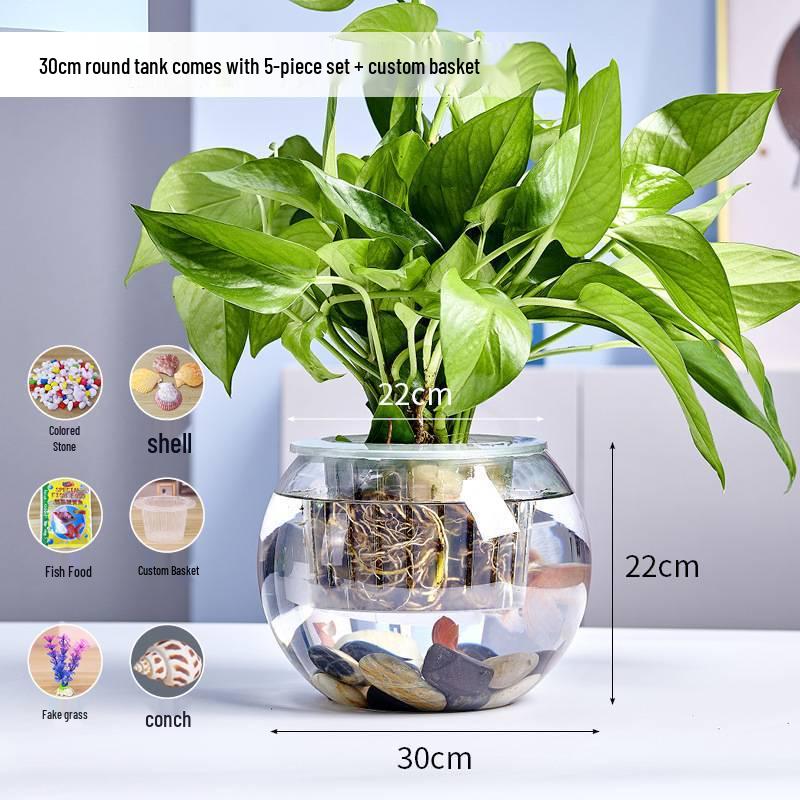 Jialei Dezhu Transparent Round Glass Fish Tank & Turtle Aquarium for Desktop Living Room