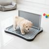 Splash-Proof Puppy Training Potty Non-slip Dog Potty Tray Portable Dog Litter Box  Pet Training