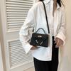 Trendy Commuter Bag Small Square Pu Leather Handbag For Spring Summer 2024