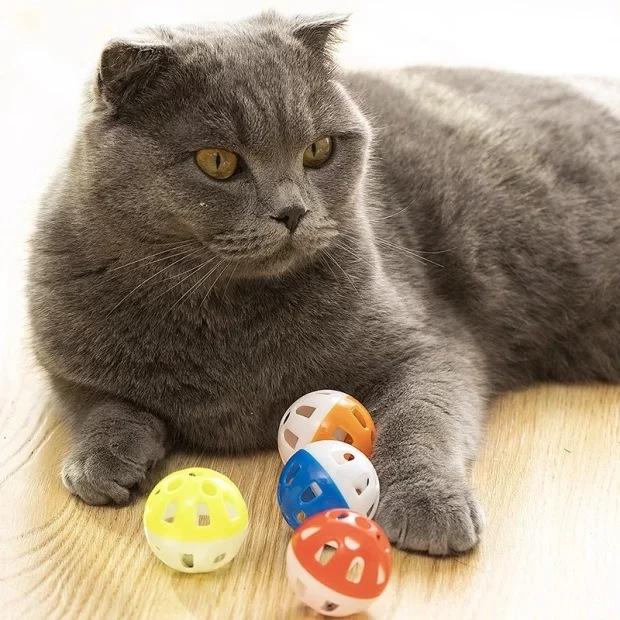 New Customer Bonus: Interactive Sounding Cat Toy Ball with Bell