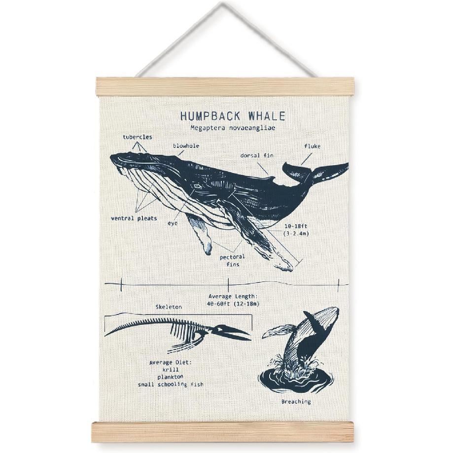ignytiger Beach Ocean Whale Wall Art Poster, Marine Biology Beach House Room Decor, Summer Whale Ocean Theme Canvas Bathroom Nursery Classroom Decor,