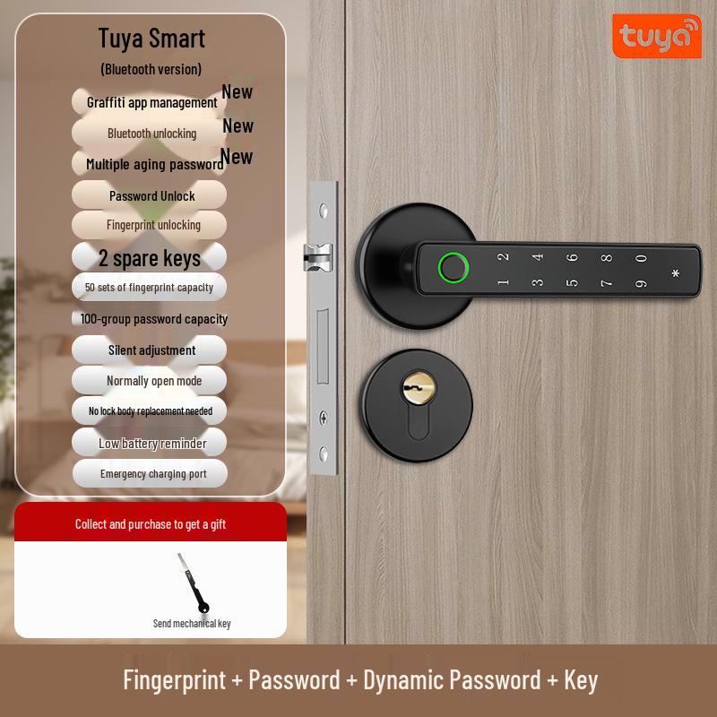 Maniglia Serratura Porta con Impronta Digitale e App Bluetooth, Design Graffiti, Apertura con un Tocco, Funzionamento Silenzioso per Case e Uffici