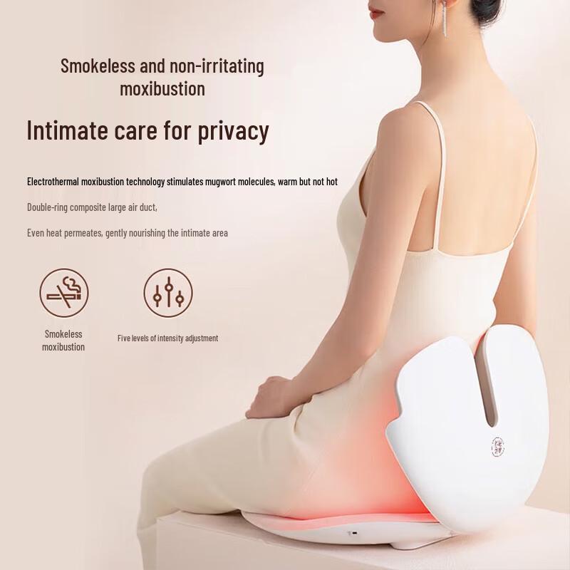Smart Backrest Heated Moxibustion Seat CN plug (adapter included)