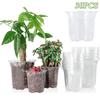 Transparent Flower Pot Seedling Cups Seed Growing Flowerpot Nursery Pot Garden Supplies Nursery Flowerpot