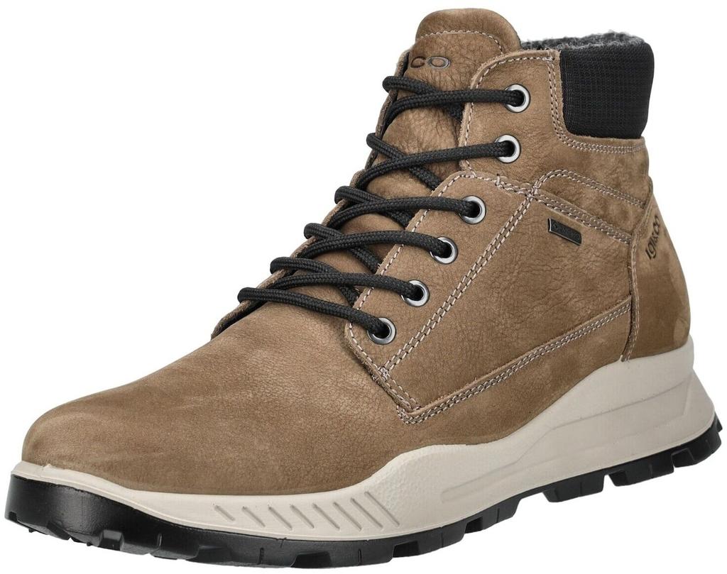 Ботинки Igi&co U Eloy GTX beige