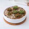 Decorațiuni pentru casă – Ghivece de flori decorative
