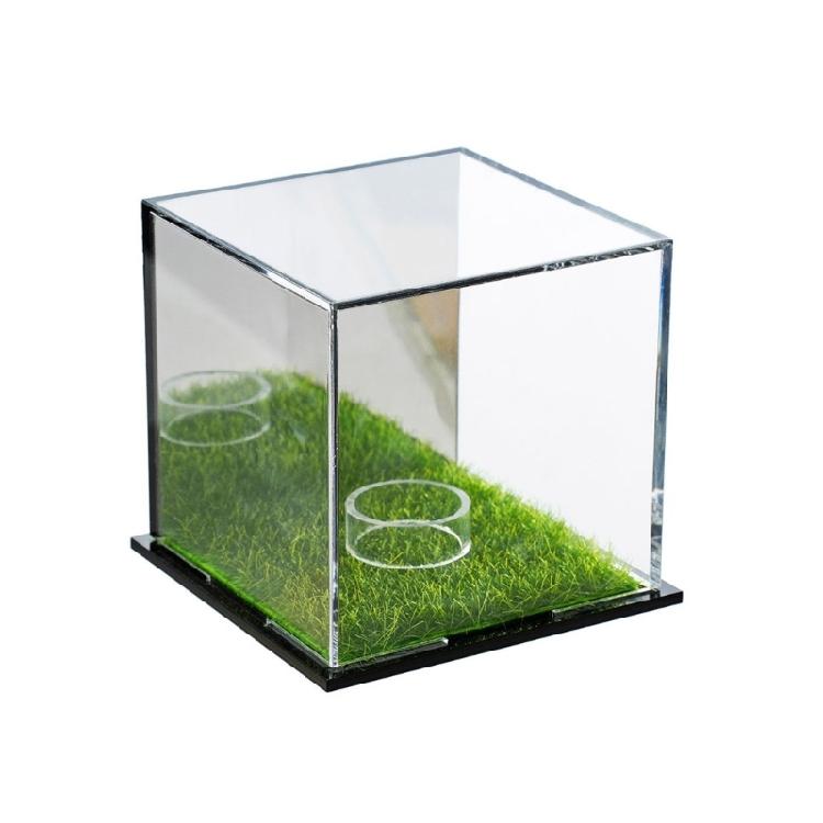 

Multipurpose Acrylic Golf Ball Case Display Organizer Signature Golf Ball Storage Container Dustproof Holder Enduring 1