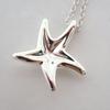 [Gebraucht] TIFFANY/Tiffany 925 Seestern Anhänger/Halskette/g483-36