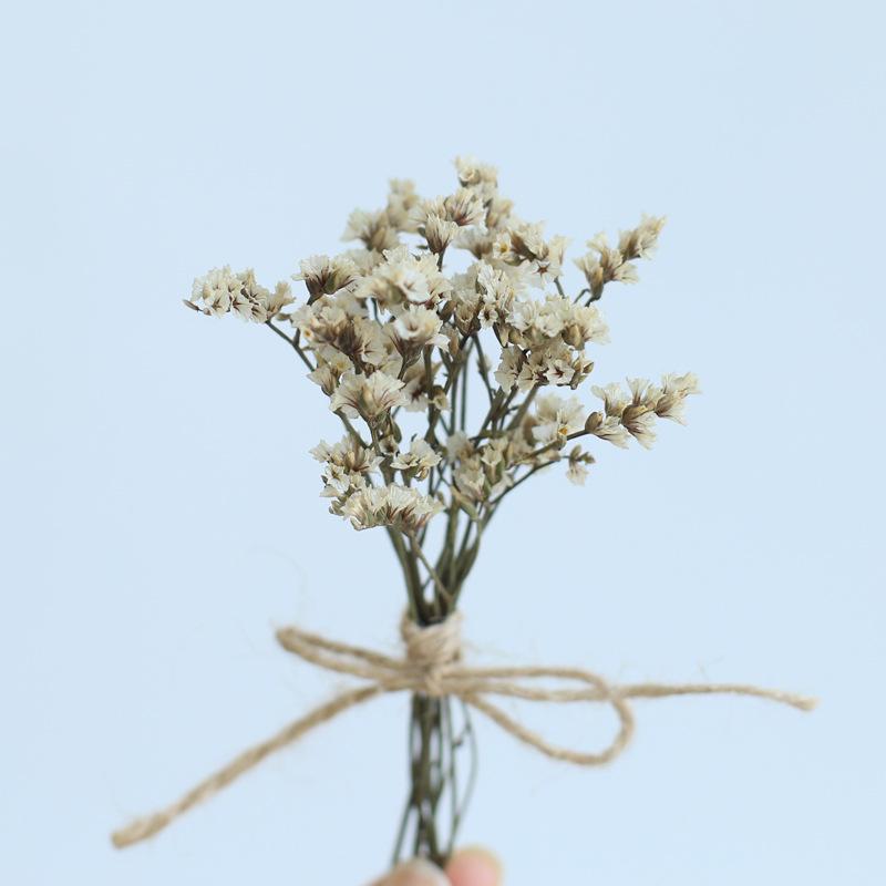 12cm Preserved Flower Boutonniere: Mini Bouquet for Bride, Bridesmaid, Wedding, Gift Box, Party Favor Decoration