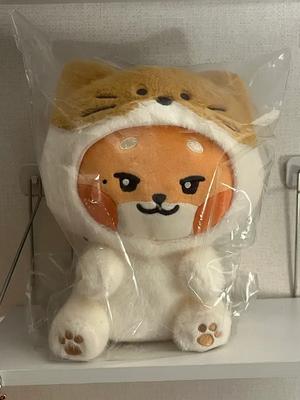 (Ungeöffnet) Chunini Wonderland Mittlere Puppe