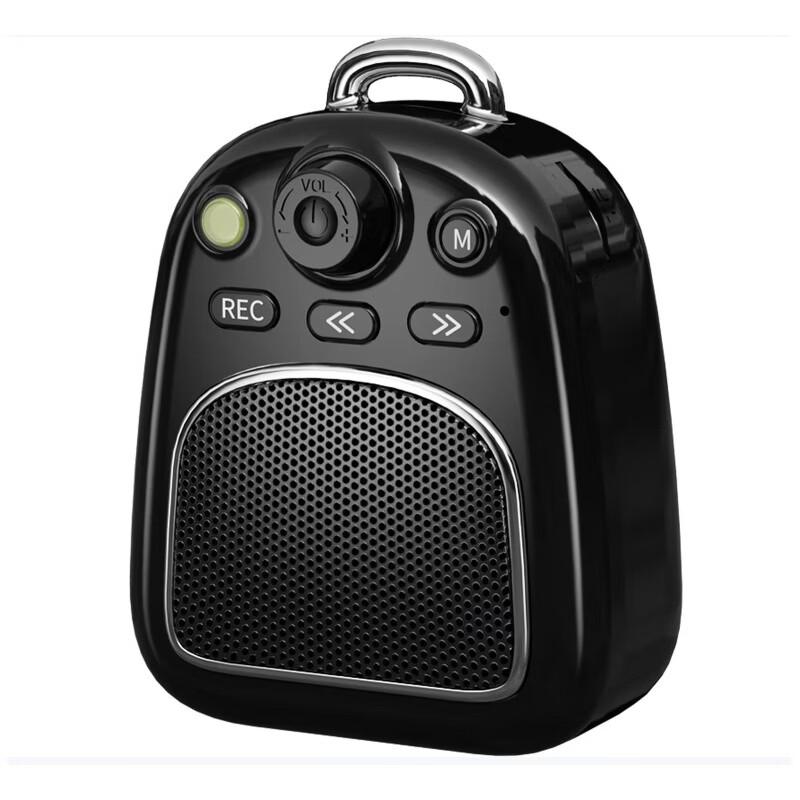 Newsmy DP06 Portable Retro Bluetooth Speaker CN plug (adapter included)