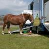 2Pcs/Set Durable Slow Feed Hay Net Large Capacity Hanging Horse Hay Bag 40inch Hay Feeder Bag Equestrian Accessory
