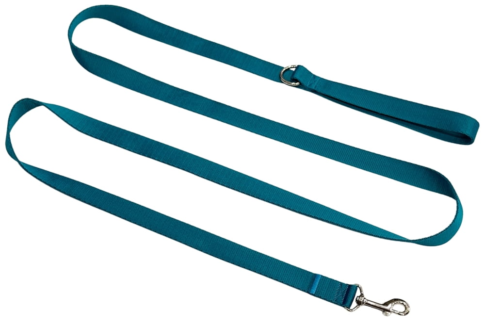 Dog Leash Traditional 2.5 Cm Turquoise Fasten Dog Leash Traditional 2.5 Cm Turquoise Fasten XXXXL - 10 M